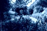 preview cold