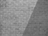 preview bw