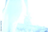 preview cold