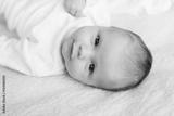 preview bw