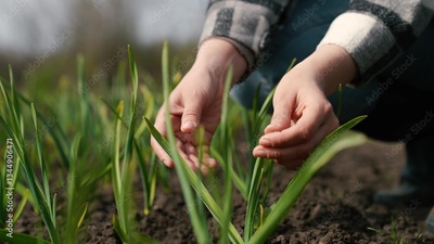 image to crop