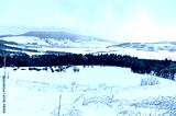 preview cold