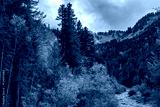 preview cold