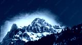 preview cold