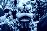 preview cold