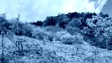 preview cold