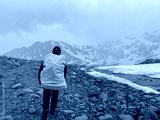 preview cold