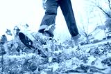 preview cold