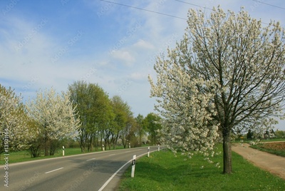 image to crop