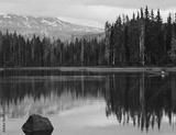 preview bw