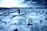 preview cold