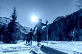 preview cold