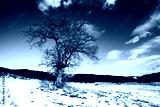 preview cold
