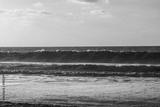 preview bw