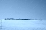 preview cold