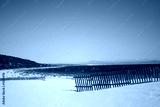 preview cold