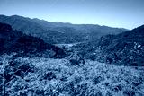 preview cold