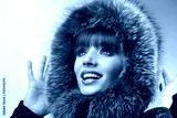 preview cold