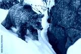 preview cold