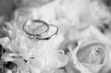 preview bw