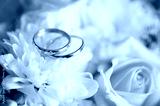 preview cold
