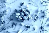 preview cold
