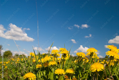 image to crop