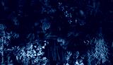 preview cold