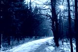 preview cold