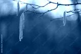 preview cold
