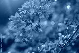 preview cold