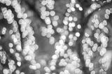 preview bw