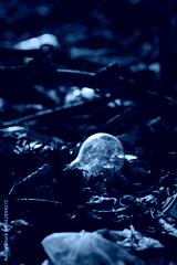 preview cold