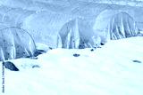 preview cold