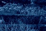 preview cold