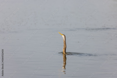 image to crop