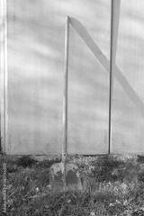 preview bw