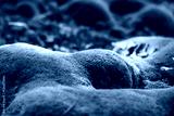 preview cold