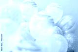 preview cold
