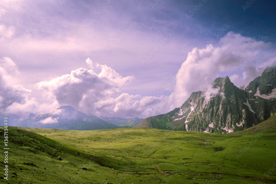 image to crop