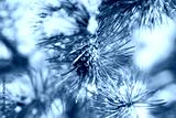 preview cold