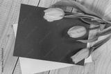 preview bw