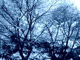 preview cold