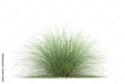 image to crop