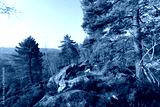 preview cold