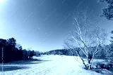 preview cold