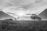 preview bw