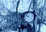 preview cold