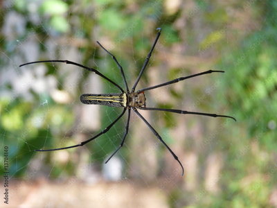 image to crop