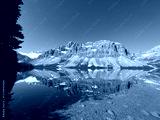 preview cold